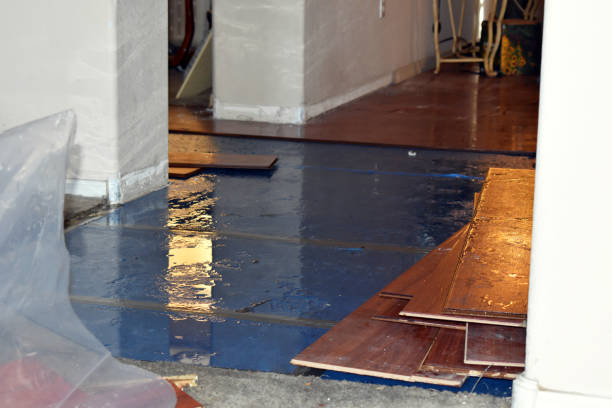 Professional Burst Pipe Cleanup technician working in Myrtle, MS